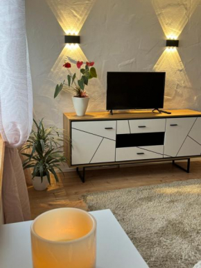 Apartment Balingen City
